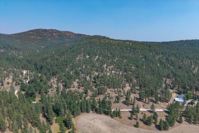 5687X Corkscrew Canyon Rd, Tumtum, WA 99034