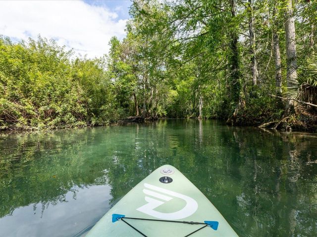 11981 ROBINA ROAD, Weeki Wachee, FL 34614