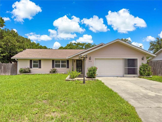 10739 SE 44TH TERRACE, Belleview, FL 34420