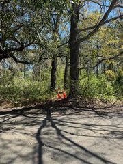 8730 N Park Boulevard, North Charleston, SC 29406