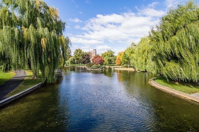 81 Beacon Street 8, Boston, MA 02108