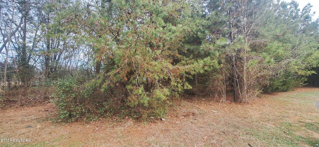 Raintree Lane, Kingston, TN 37763