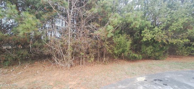 Raintree Lane, Kingston, TN 37763