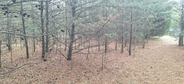 Raintree Lane, Kingston, TN 37763