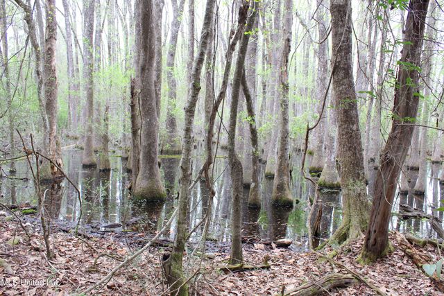 Lot 7 Frank Snell Road, Moss Point, MS 39562