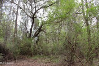 Lot 7 Frank Snell Road, Moss Point, MS 39562