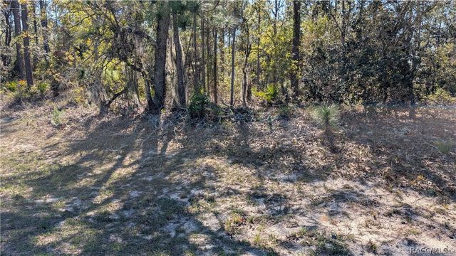 5824 W Corral Place, Beverly Hills, FL 34465