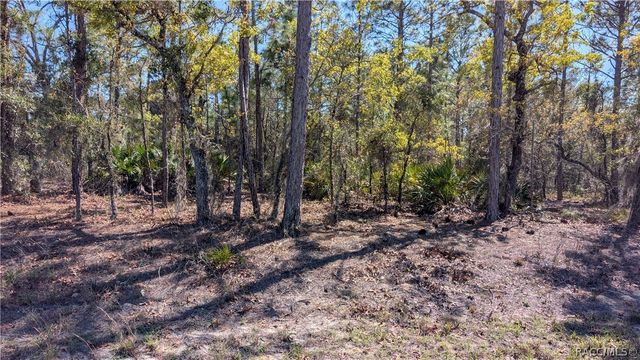 5824 W Corral Place, Beverly Hills, FL 34465