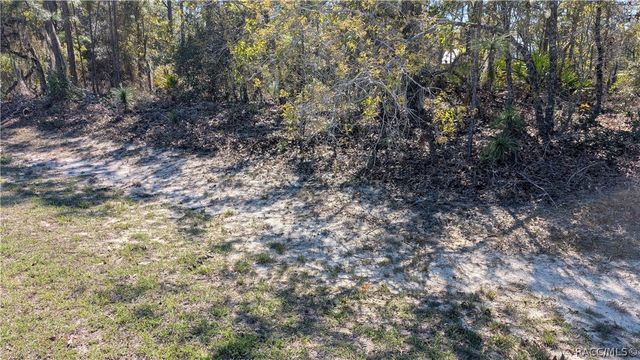 5824 W Corral Place, Beverly Hills, FL 34465