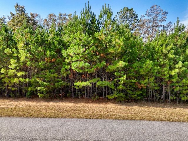 lot 43 Water Oak Lane, Blairsville, GA 30512