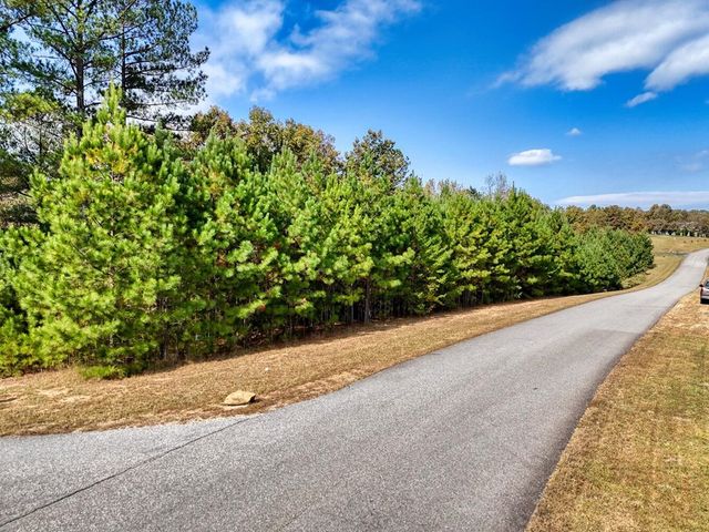 lot 43 Water Oak Lane, Blairsville, GA 30512