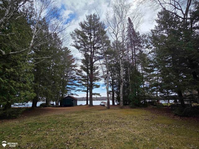 4041 W Cedar Lake Road, Greenbush Twp, MI 48738