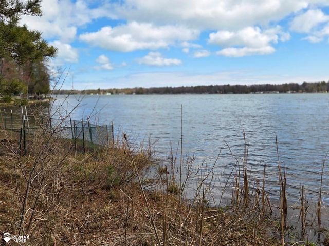 4041 W Cedar Lake Road, Greenbush Twp, MI 48738