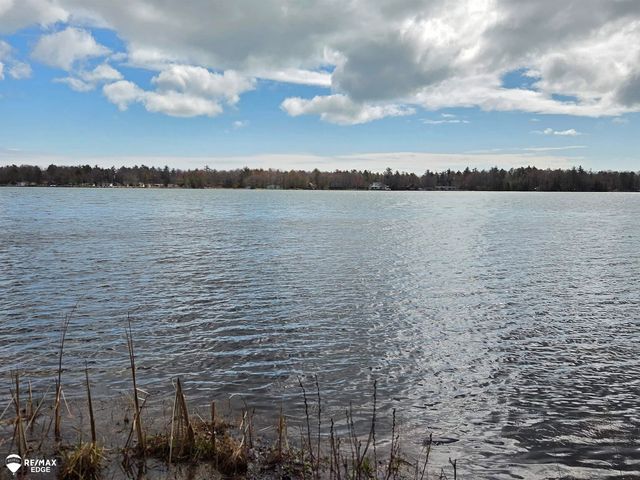 4041 W Cedar Lake Road, Greenbush Twp, MI 48738