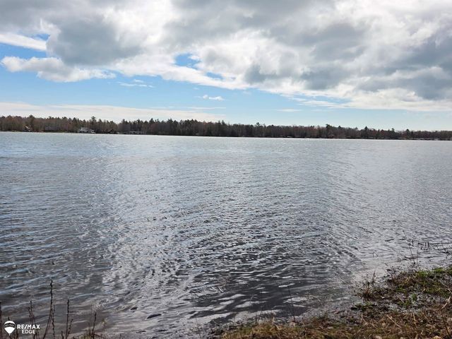 4041 W Cedar Lake Road, Greenbush Twp, MI 48738