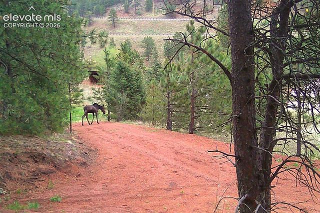 10905 W Highway 24, Green Mountain Falls, CO 80819