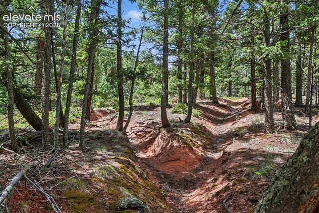 10905 W Highway 24, Green Mountain Falls, CO 80819