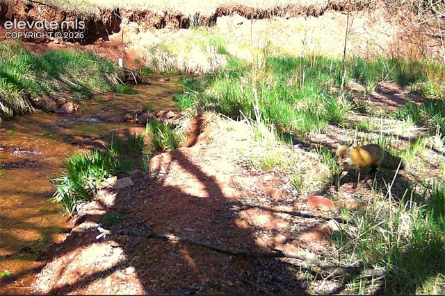 10905 W Highway 24, Green Mountain Falls, CO 80819
