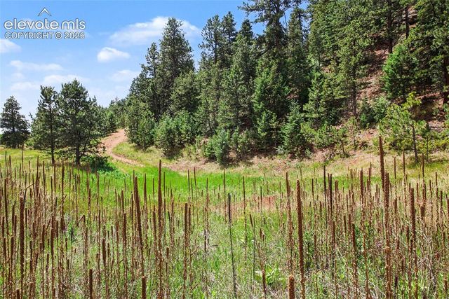 10905 W Highway 24, Green Mountain Falls, CO 80819