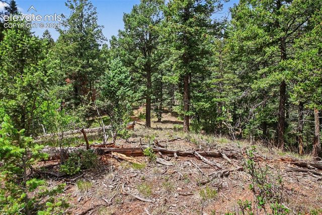 10905 W Highway 24, Green Mountain Falls, CO 80819