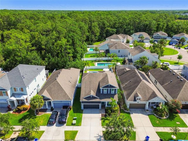 11307 QUIET FOREST DRIVE, Tampa, FL 33635