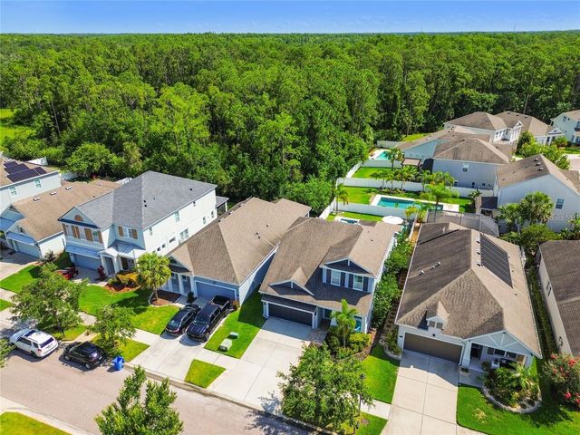 11307 QUIET FOREST DRIVE, Tampa, FL 33635