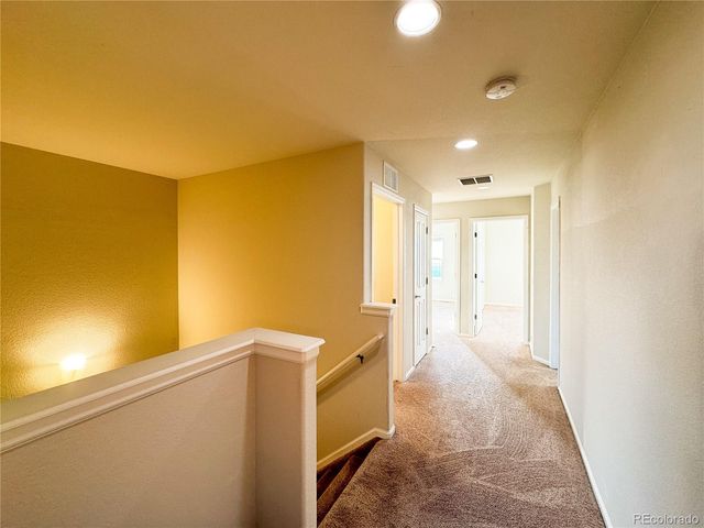 7077 Red Sand Grove, Colorado Springs, CO 80923