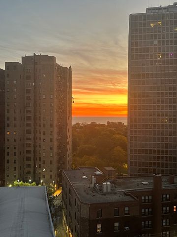 444 W Fullerton Parkway 1303, Chicago, IL 60614