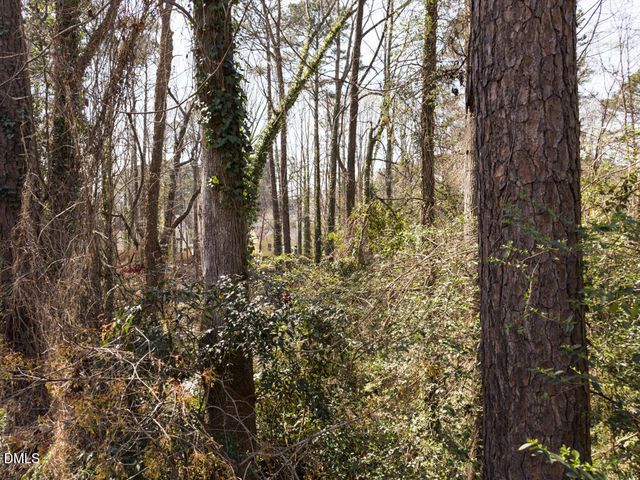 4017 Balsam Drive, Raleigh, NC 27612