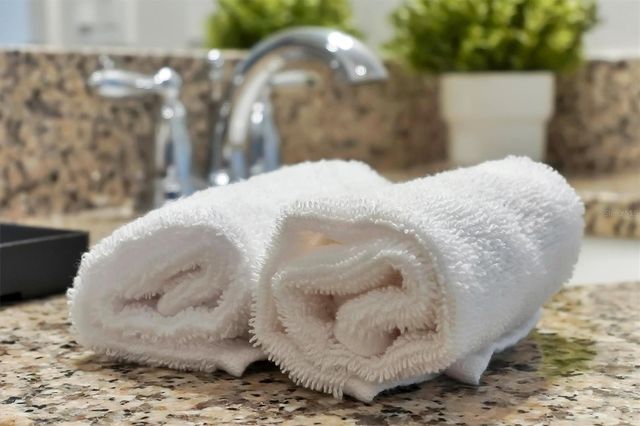 297 CAPTIVA DRIVE, Davenport, FL 33896