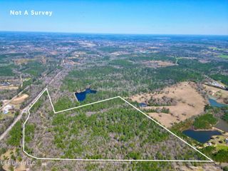Lot 3 Cowart Holiday Road, Poplarville, MS 39470