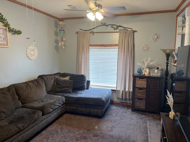 183 Dandridge Road, Walterboro, SC 29488