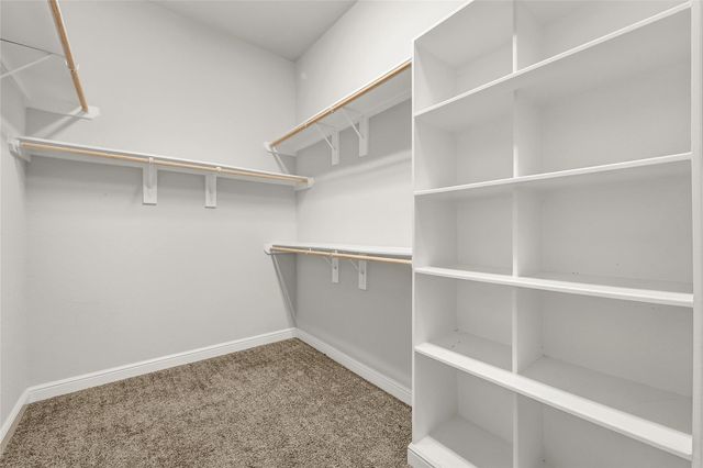 13236 Tracewood Hills Lane, Houston, TX 77044