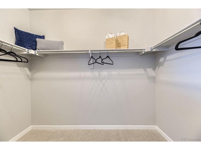13786 Daffodil Pt, Parker, CO 80134