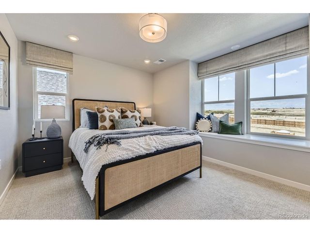 13786 Daffodil Pt, Parker, CO 80134