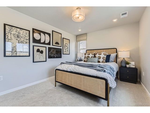 13786 Daffodil Pt, Parker, CO 80134