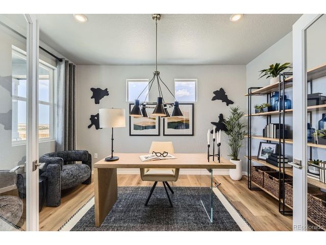 13786 Daffodil Pt, Parker, CO 80134