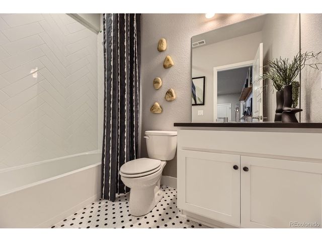 13786 Daffodil Pt, Parker, CO 80134