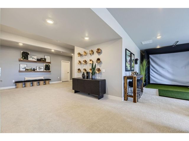 13786 Daffodil Pt, Parker, CO 80134