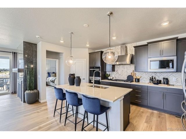13786 Daffodil Pt, Parker, CO 80134