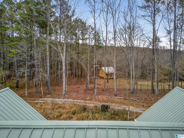 1285 WHITE OAK ROAD, Ashland, AL 36251