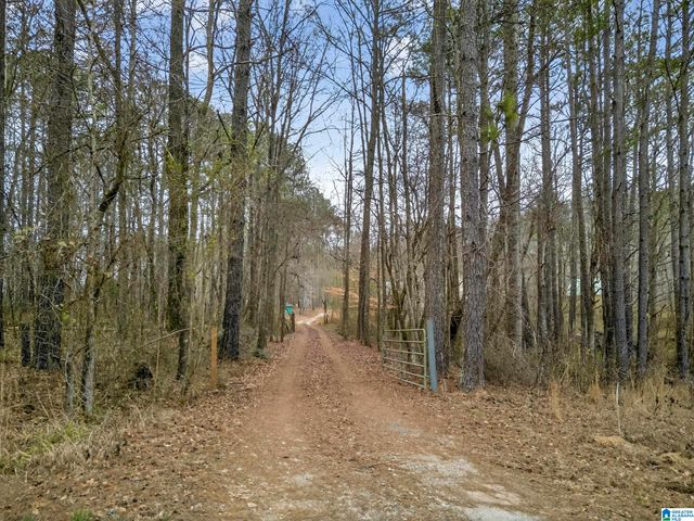 1285 WHITE OAK ROAD, Ashland, AL 36251