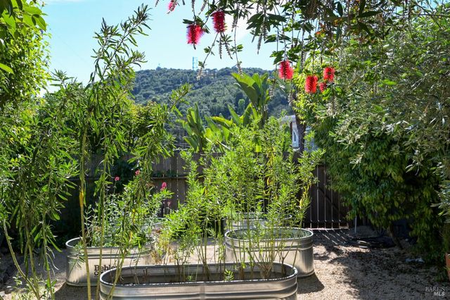 115 Myrtle Ave, San Rafael, CA 94901