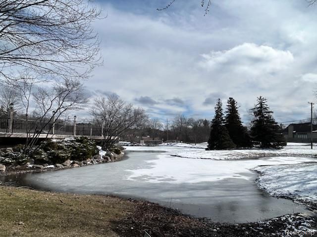 7305 Meadowridge Circle 28, West Bloomfield Charter Township, MI 48322