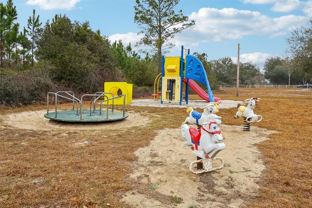 30342 VITEX AVENUE, Eustis, FL 32736