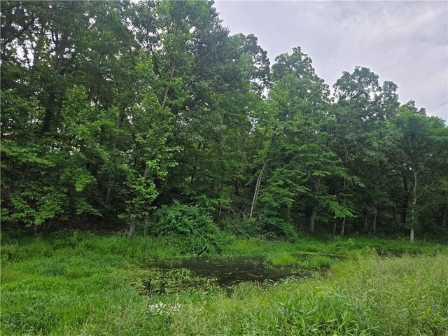 17681 Peterson Road, Gentry, AR 72734