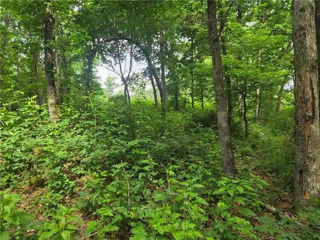17681 Peterson Road, Gentry, AR 72734