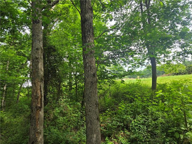 17681 Peterson Road, Gentry, AR 72734