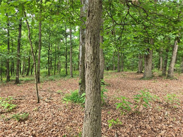 17681 Peterson Road, Gentry, AR 72734