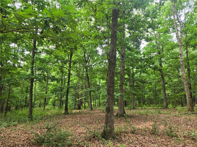17681 Peterson Road, Gentry, AR 72734
